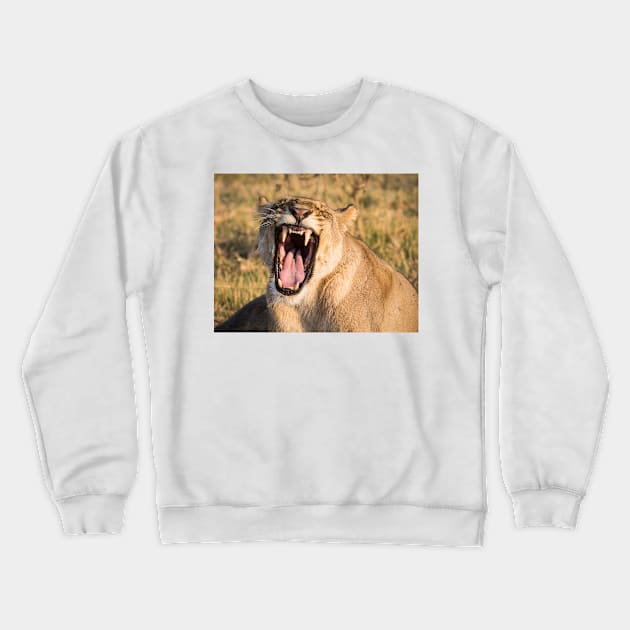 Lioness Bares Her Teeth Crewneck Sweatshirt by GrahamPrentice